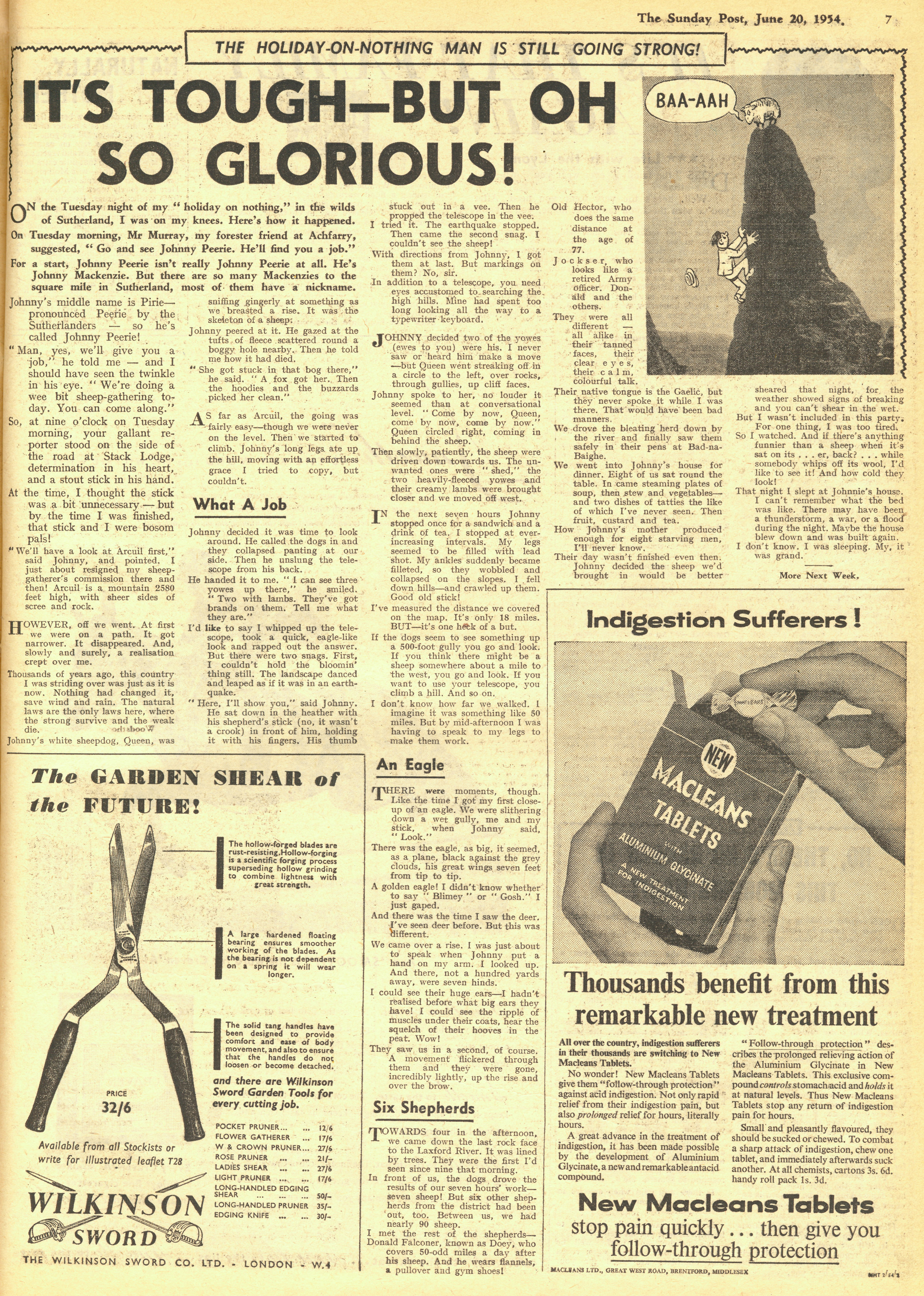 hon man 2 cropped.jpg